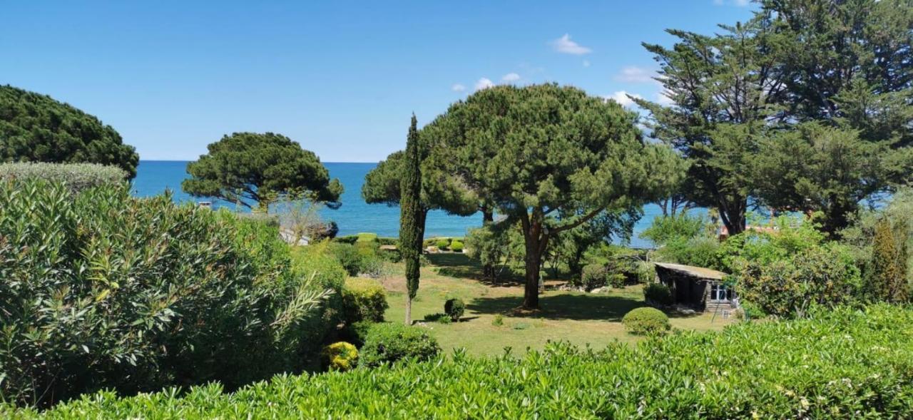Villa I Merli Nous Contacter Avant Reservation Saint-Florent  Exterior photo